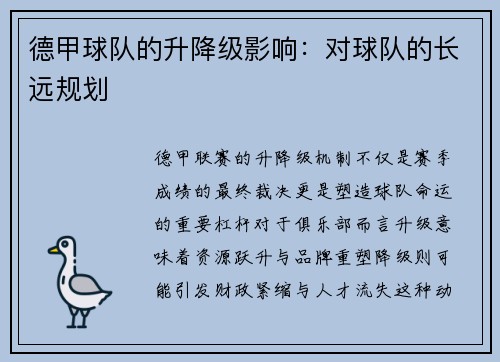 德甲球队的升降级影响：对球队的长远规划